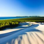 Urlaub Michigan • Sleeping Bear Dunes (Ratgeber)